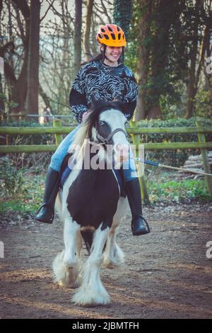 A teenage girl laughing and smiling, riding a piebald gypsy cob draft horse pony Stock Photo