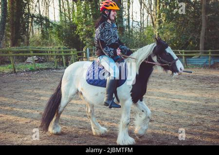 A teenage girl laughing and smiling, riding a piebald gypsy cob draft horse pony Stock Photo