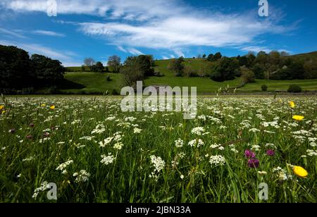 Muker, Yorkshire Dales, UK. 7th Jun 2022. Wildflower meadows near Muker in the Yorkshire Dales. Neil Squires/Alamy Live News Stock Photo