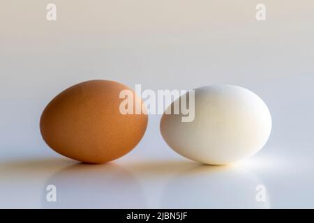 Comparison of a white and brown egg on a white background. Stock Photo