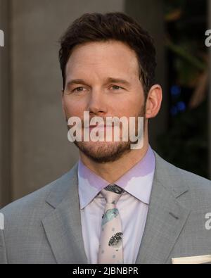 21 May 2022 - Los Angeles, California - Chris Pratt. Los Angeles Premiere Of Universal Pictures ''Jurassic World Dominion' (Credit Image: © Billy Bennight/AdMedia via ZUMA Press Wire) Stock Photo