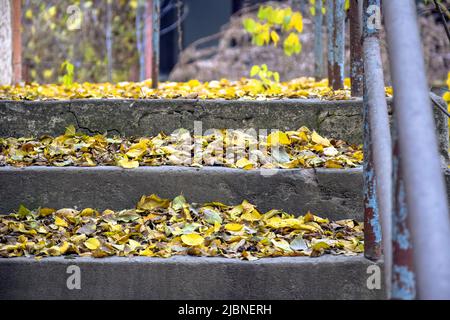 Old concrete staircase, strewn with yellow fallen leaves. Golden autumn. Vertical photo. Close-up. Selective focus. Stock Photo