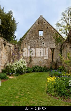 The ruins of the 15th-century tithe barn in the grounds of Castle ...
