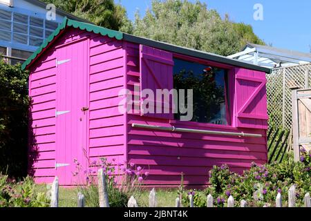 A pink shed at a beach bar in Bembridge, Isle of Wight Stock Photo