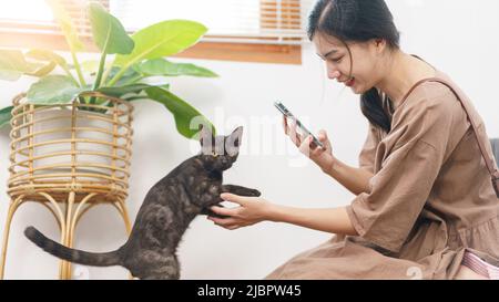 Pet lover concept, Young Asian woman using smartphone to take a picture of the cat in living room. Stock Photo