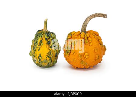 two orange decorative pumpkins on white background, isolated object Stock Photo