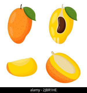 Set of orange mango with green leaves isolated on white background. Flat vector illustration. Stock Vector