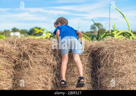Boy blue t-shirt smile play climbs on down haystack bales of dry hay, clear sky sunny day. Outdoor kid children summer leisure activities. Concept Stock Photo