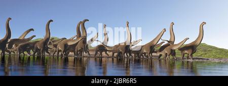 Alamosaurus, herd of Titanosaurus sauropod dinosaurs from the Cretaceous period Stock Photo