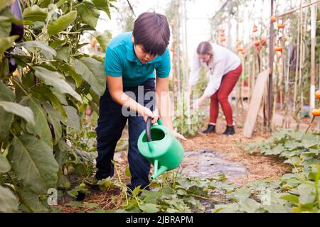 Boy watering different seedlings with watering pot in sunny greenhouse Stock Photo