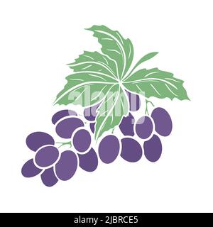 Grapes branch isolated vector illustration. Purple grape leaves clipart. Simple berry bunch with foliage. Healthy organic food. Wine material for beve Stock Vector