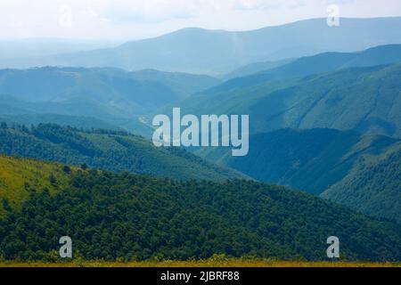 summer landscape in mountains. view in to the distant green valley. grassy meadows and forested hills. sunny weather Stock Photo