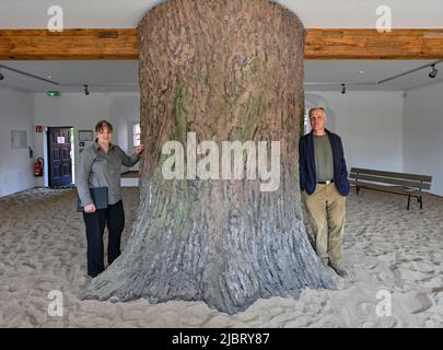 02 June 2022, Brandenburg, Beeskow: Kristina Geisler, a long-time employee at the castle, and Arnold Bischinger, head of the Oder-Spree district's culture and sports office, stand by a replica of an oak trunk in the salt house at Beeskow Castle. 30 years of culture in the Oder-Spree district are now being celebrated in a big way at Beeskow Castle. The medieval complex combines an ensemble of now renovated buildings with different cultural uses: modern regional museum, historical music automatons, concert hall, open-air stage, artists' workshops. (to dpa 'How a medieval castle complex became a Stock Photo