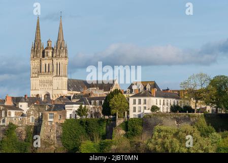 France, Maine et Loire, Angers, Saint Maurice cathedral Stock Photo