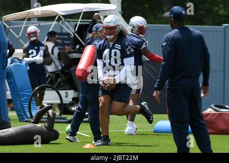 New England Patriots linebacker Jahlani Tavai (48) walks on the sidelines  during an NFL football game against the Miami Dolphins, Sunday, Jan. 9,  2022, in Miami Gardens, Fla. (AP Photo/Doug Murray Stock