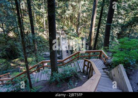 Beautiful wooden path in the rainforest. Lynn Canyon Park Twin Falls Bridge, North Vancouver, British Columbia, Canada. Stock Photo