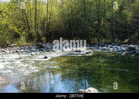 Lynn Creek in Lynn Canyon Park, 30 Foot Pool. North Vancouver, British Columbia, Canada. Stock Photo