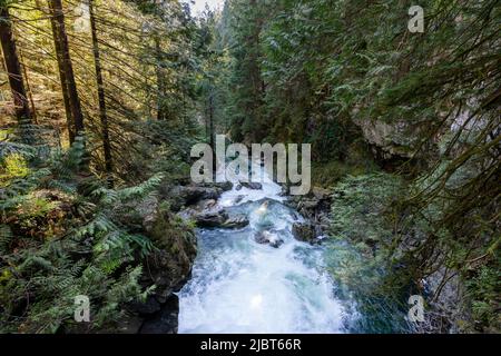 Lynn Canyon Park Twin Falls, North Vancouver, British Columbia, Canada. Stock Photo