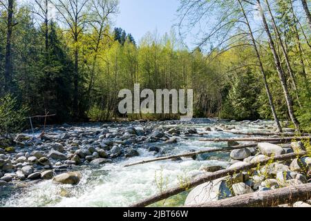 Lynn Creek in Lynn Canyon Park. North Vancouver, British Columbia, Canada. Stock Photo