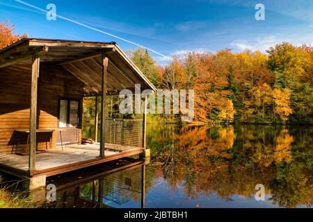 France, Haute Saone, Plateau des Mille Etangs, escape from the 1000 etangs between lake and forest in autumn Stock Photo