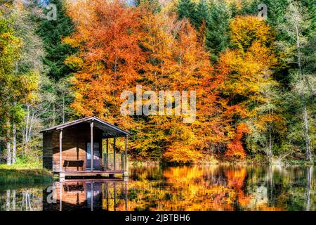 France, Haute Saone, Plateau des Mille Etangs, escape from the 1000 etangs between lake and forest in autumn Stock Photo