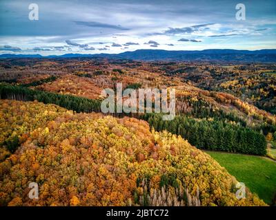 France, Haute Saone, Plateau des Mille Etangs, escape from the 1000 etangs between lake and forest in autumn (aerial view) Stock Photo