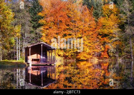 France, Haute Saone, Plateau des Mille Etangs, escape from the 1000 etangs between lake and forest in autumn Stock Photo