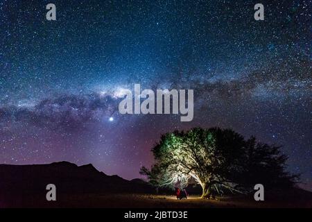 Namibia, Kunene region, Damaraland, Bergsig, family under a tree observing the Milky Way Stock Photo