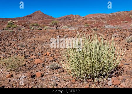 Namibia, Kunene region, Damaraland, Bergsig, mineral desert Stock Photo