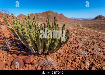 Namibia, Kunene region, Damaraland, Bergsig, desert landscape Stock Photo