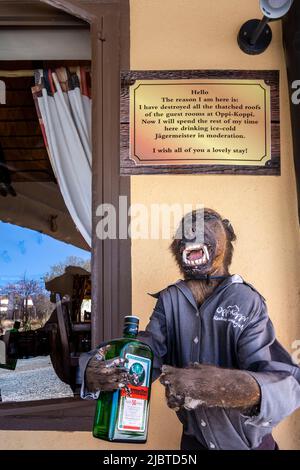 Namibia, Kunene region, Damaraland, Kamanjab, Oppi-Koppi campsite, at the reception a stuffed baboon welcomes visitors, it is written I have destroyed all the thatched roofs of the camp, now I will spend the rest of my life drinking ice-cold Jägermeister liqueur in moderation, enjoy your stay Stock Photo