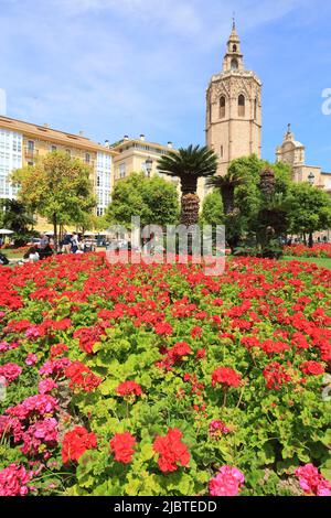 Spain, Valencia, Plaza de la Reina, geraniums with the bell tower of the Cathedral (Micalet) in the Gothic style (1381-1424) surmounted by an 18th century campanile in the background Stock Photo