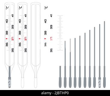 Thermometer constructor for measuring body temperature. Celsius measurement scale. Mercury thermometer. Stock Vector