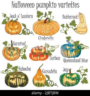 Pumpkin varieties with decoration for Halloween. Hand drawn pumpkins with titles for All Saints Day celebration. Stock Vector