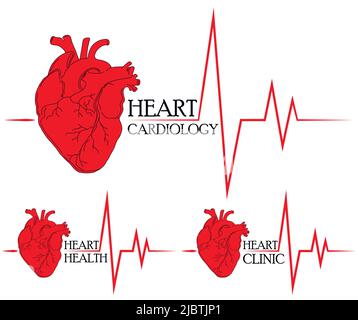 Anatomical drawing of the heart. Background for brochures, booklets, flyers. Set of red hearts icons for heart clinic and heart health center. Stock Vector