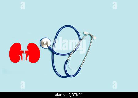 A stethoscope and two red paper kidneys shape on a light blue background in a top view Stock Photo