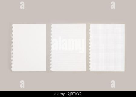Blank, lined and squared sheets of paper with copy space on a gray background Stock Photo