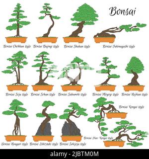 Bonsai. Different styles of miniature trees. The art of growing dwarf plants. Stock Vector