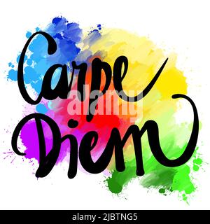 Carpe Diem For A Tshirt Vector Illustration With Floral Elements