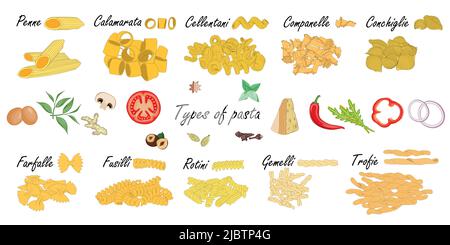 Types of pasta. Short pasta difference, illustration example with ingredients. Stock Vector