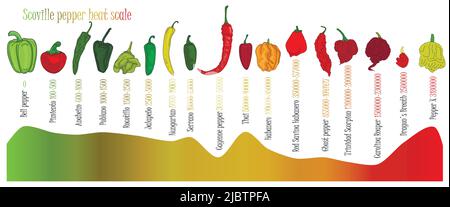 Scoville pepper heat scale. Pepper illustration from sweetest to very hot on color background. Stock Vector