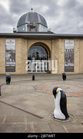 statues of penguins outside discovery point dundee scotland Stock Photo
