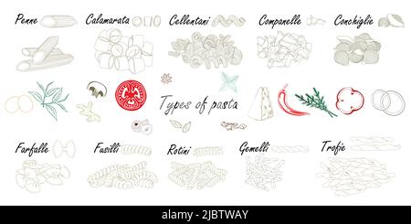 Types of pasta. Short pasta difference, illustration example with ingredients. Black and white. Stock Vector