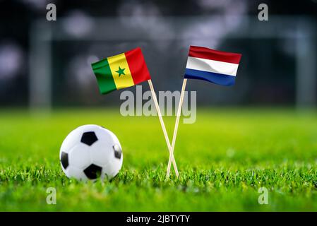 Senegal vs. Netherlands, Al Thumama, Football match wallpaper, Handmade national flags and soccer ball on green grass. Football stadium in background. Stock Photo