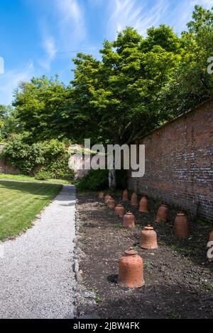 Beautiful old walled vegetable garden planted in traditional style for fresh vegetables and fruit at Trengwainton National Trust Garden, Cornwall. Stock Photo