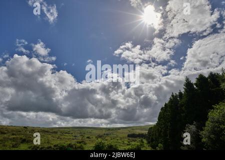 UK Weather: 08 Jun 2022, Changeable Weather, Dartmoor National Park, Devon, UK. Credit: Will Tudor/Alamy Live News Stock Photo