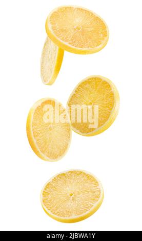 falling lemon slices with clipping path isolated on a white background. Stock Photo