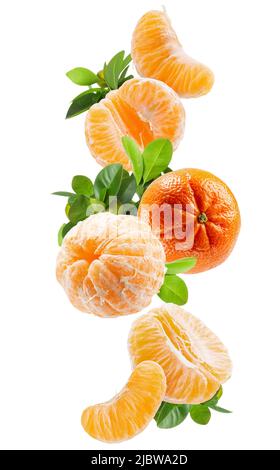falling tangerines with green leaves with clipping path isolated on a white background. Stock Photo