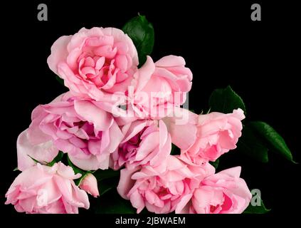 a bouquet of flowers from roses, on a black background Stock Photo