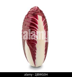 Red chicory, radicchio salad isolated on white, clipping path included Stock Photo